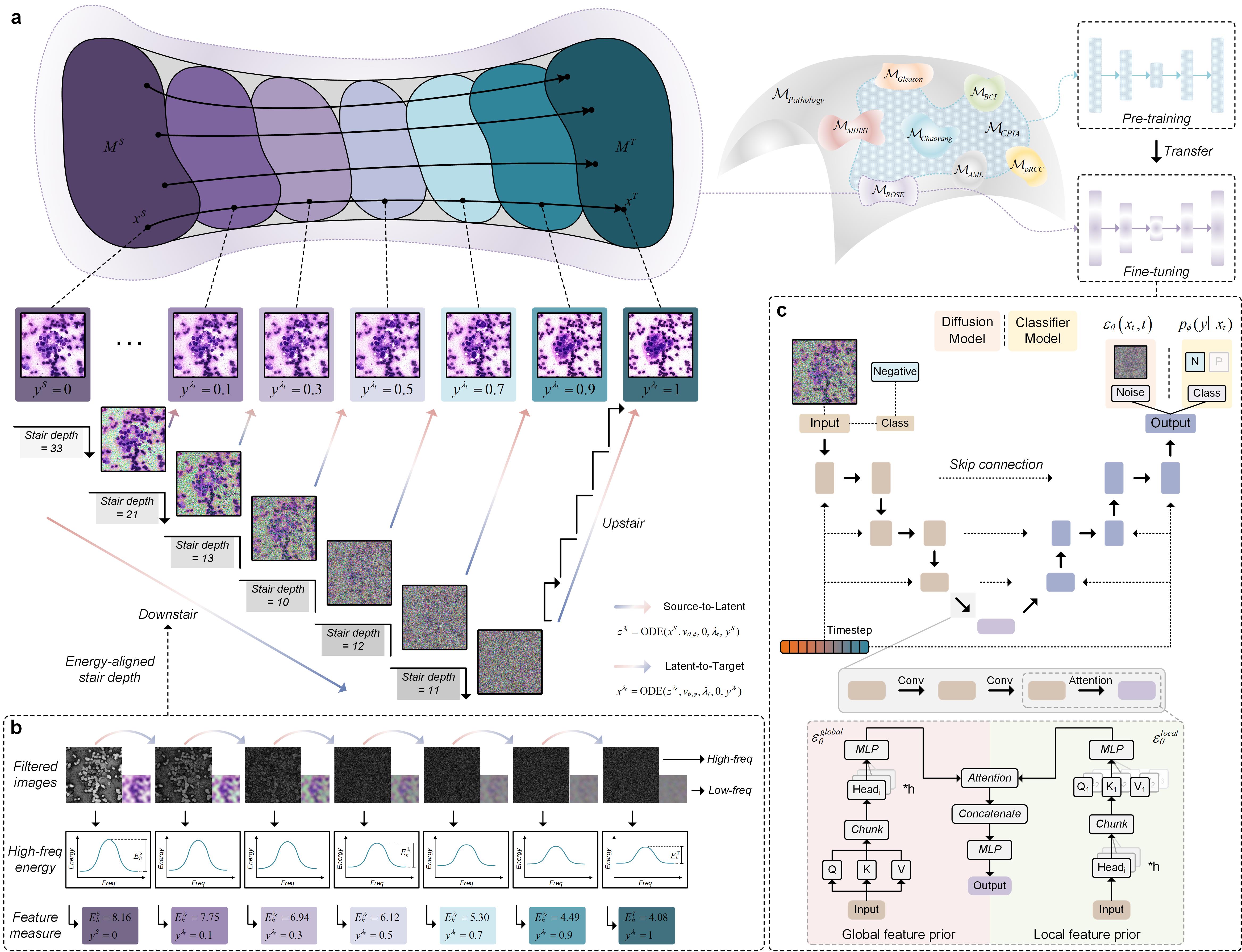 Cellflow: Advancing pathological image augmentation from spatial views to temporal trajectories