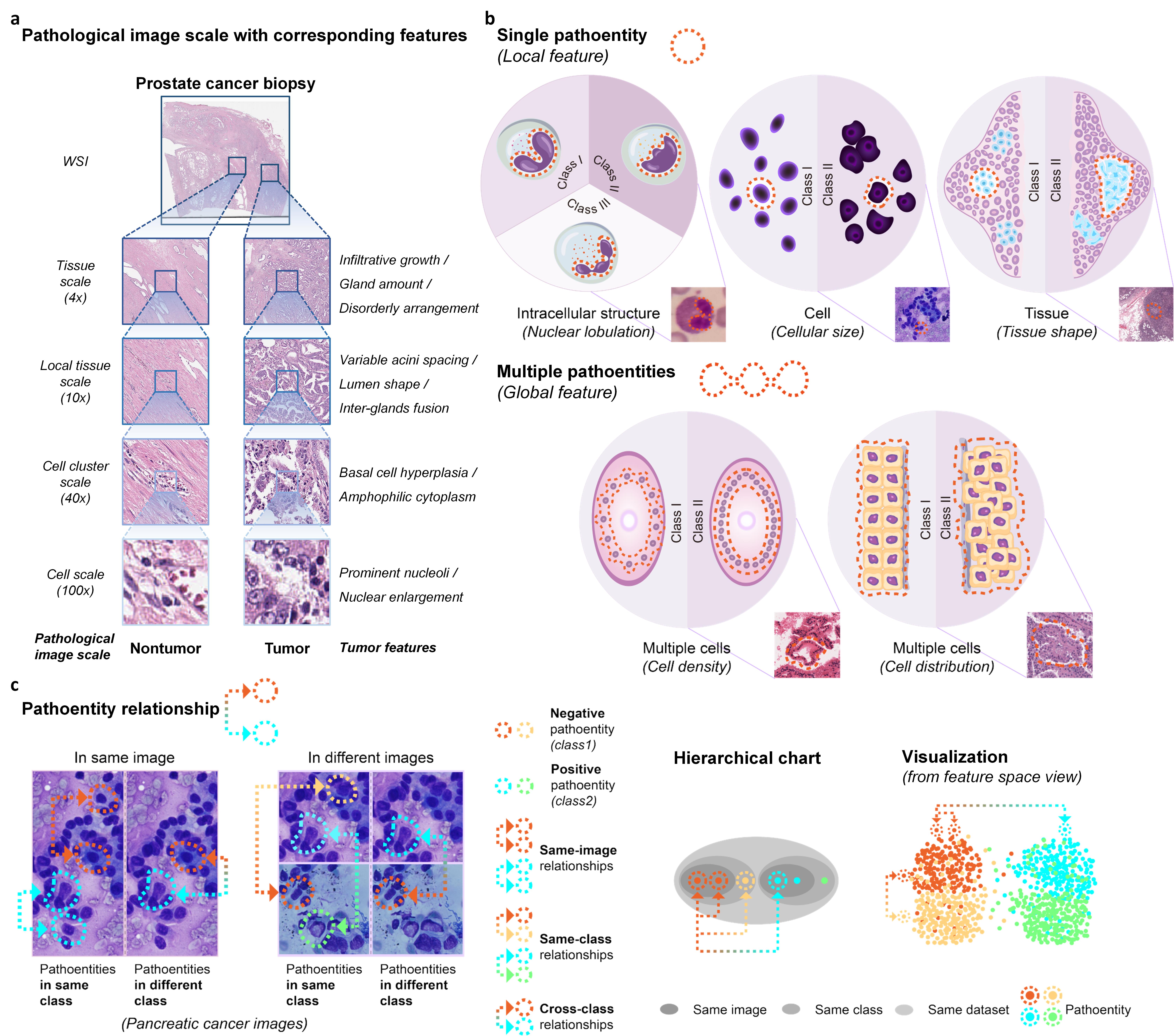 Rethinking Pathology Image Analysis through Shuffling