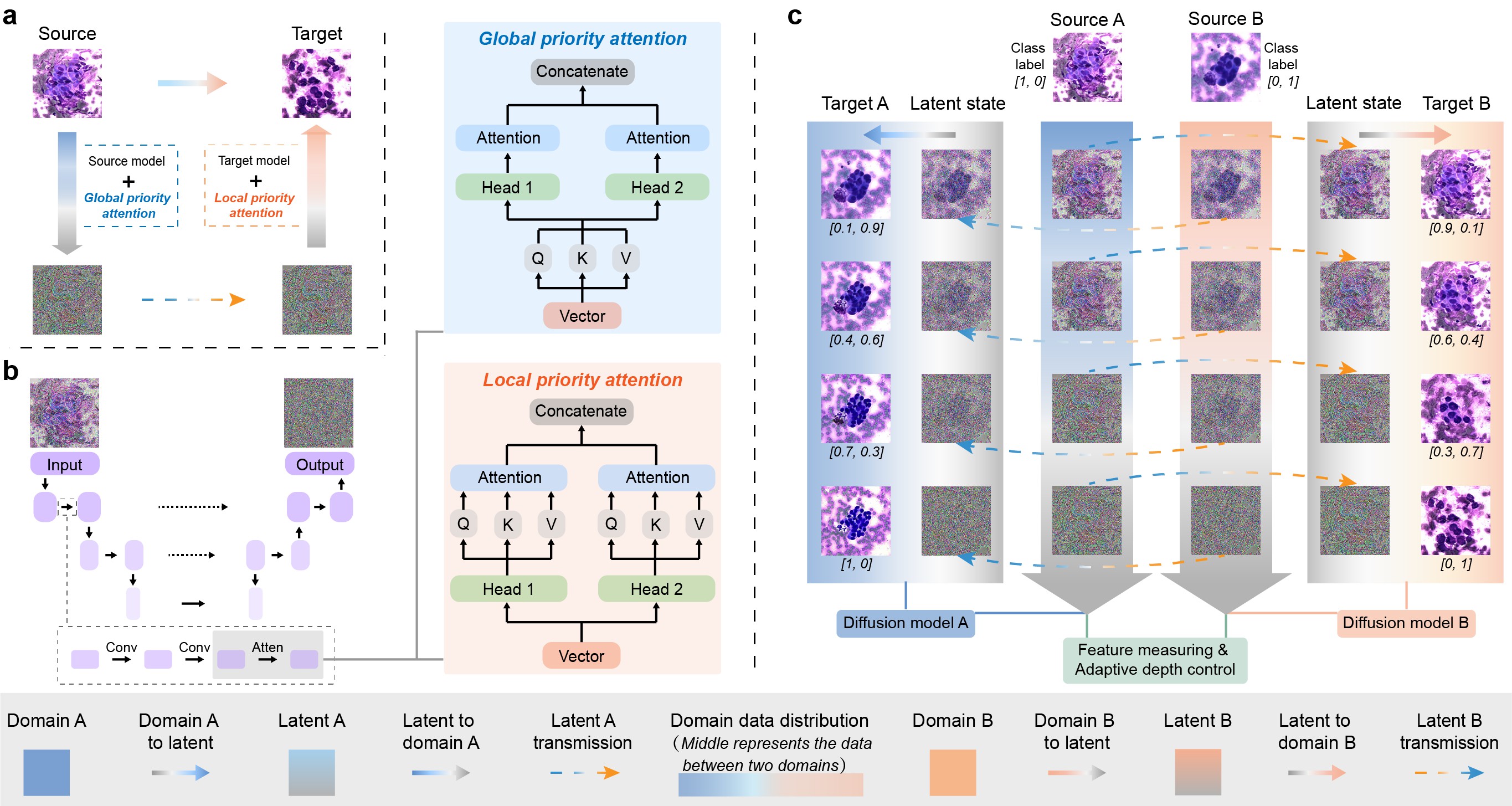 Generating Progressive Images from Pathological Transitions via Diffusion Model