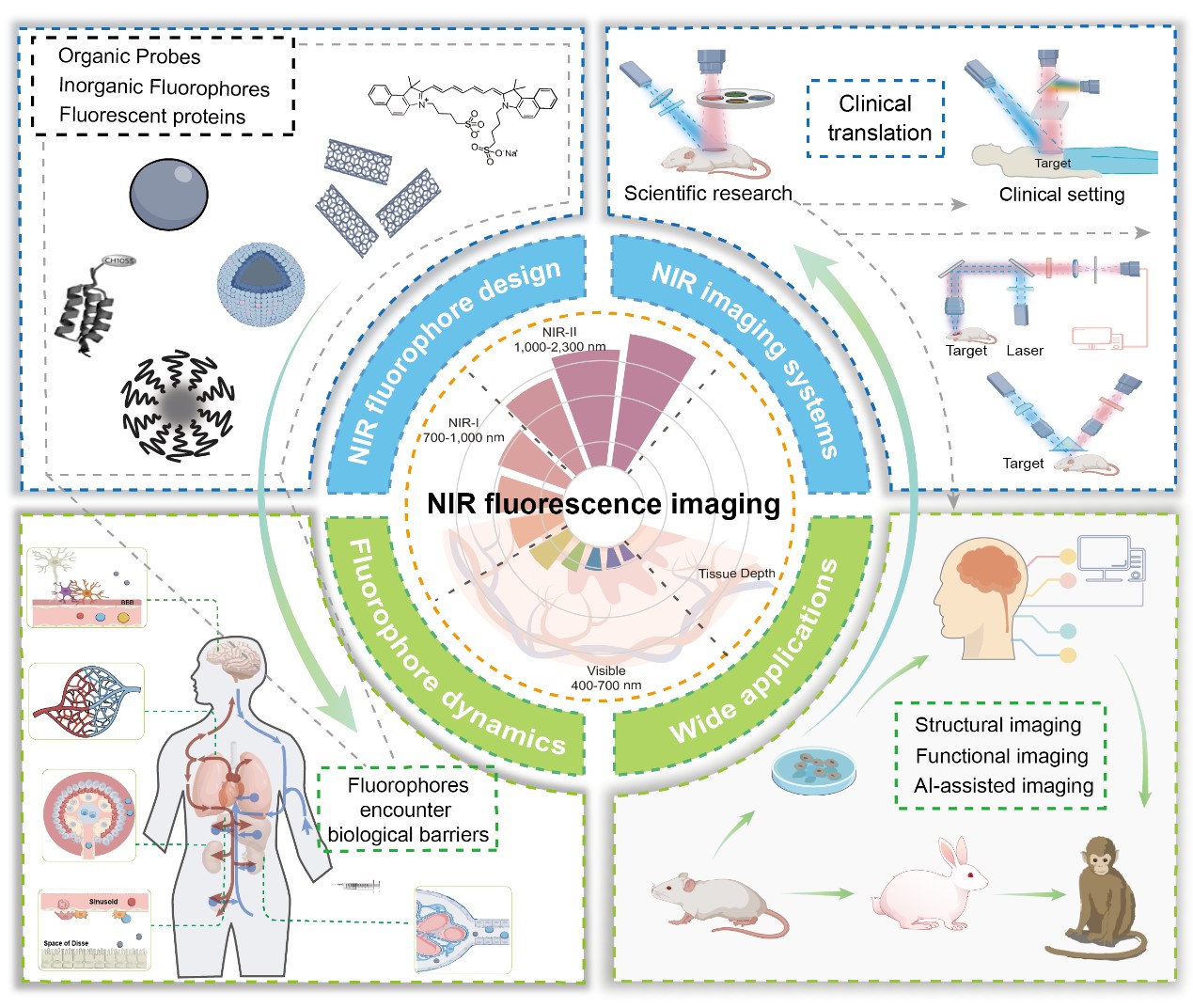 Advances in Near-Infrared Fluorescence Imaging for Biomedicine