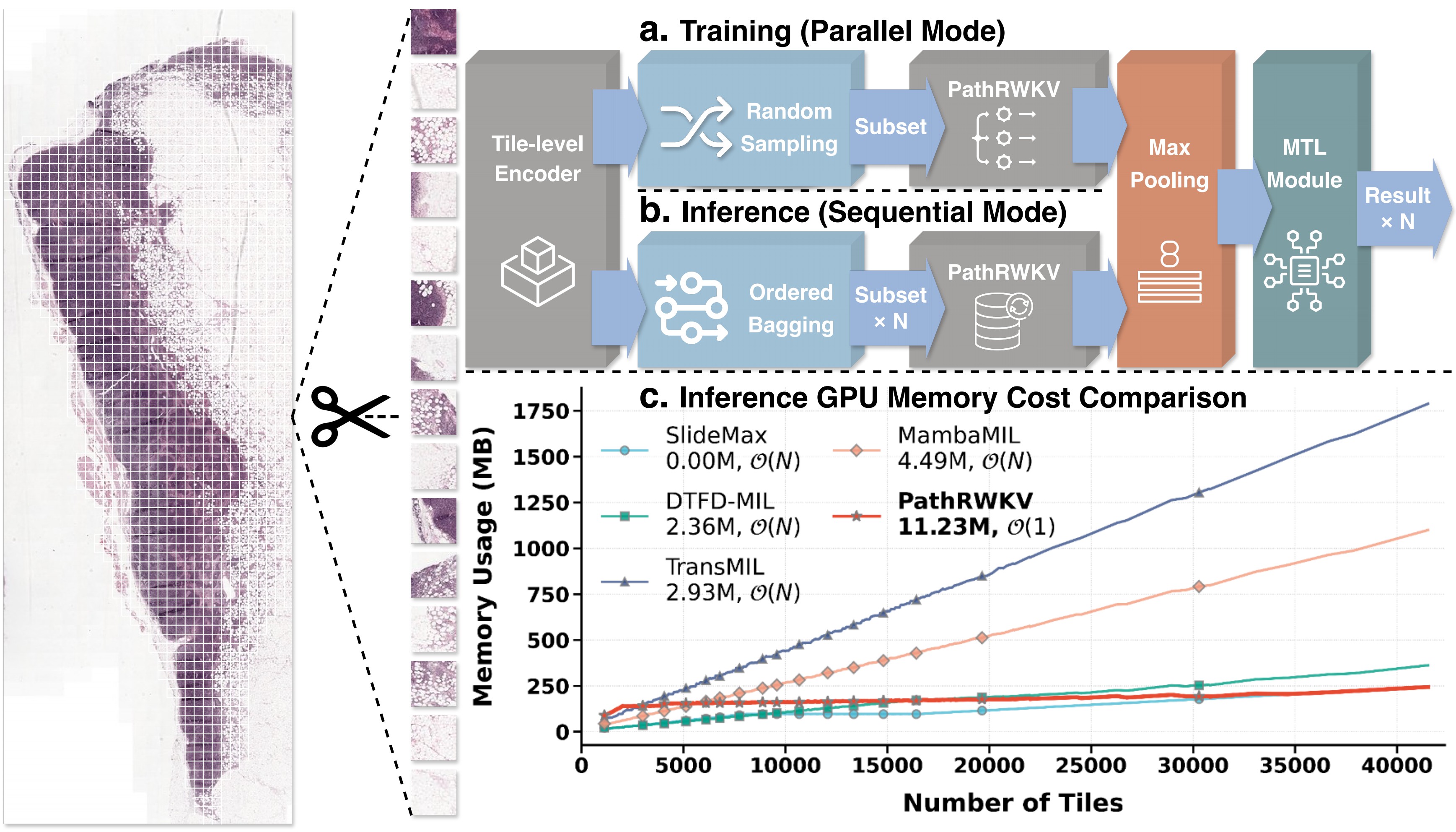 PathRWKV: Enhancing Whole Slide Image Inference with Asymmetric Recurrent Modeling